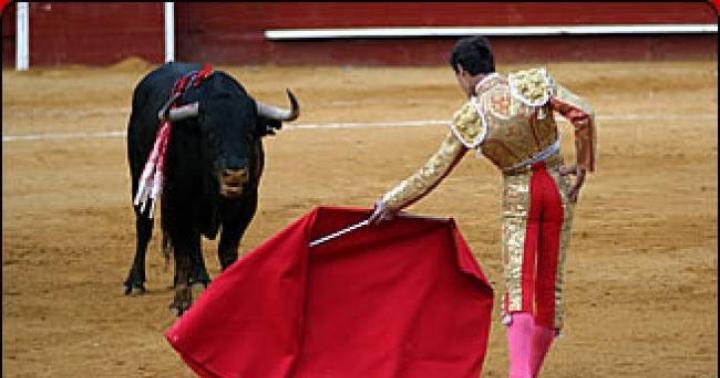 Испанский бык: описание, габариты, вес, фото